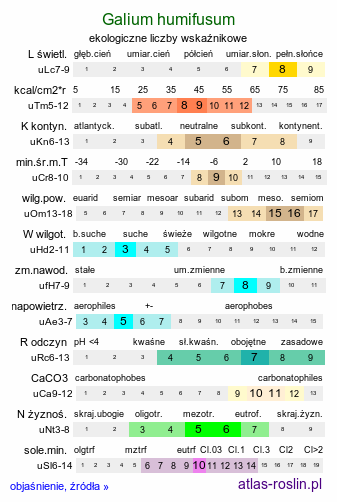 ekologiczne liczby wskaźnikowe Galium humifusum (przytulia rozesłana)