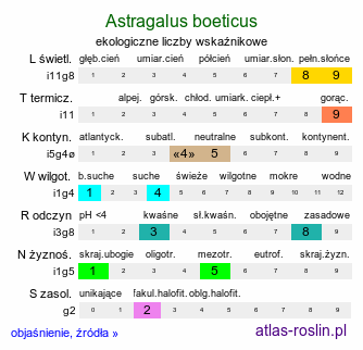 ekologiczne liczby wskaźnikowe Astragalus boeticus (traganek betycki)