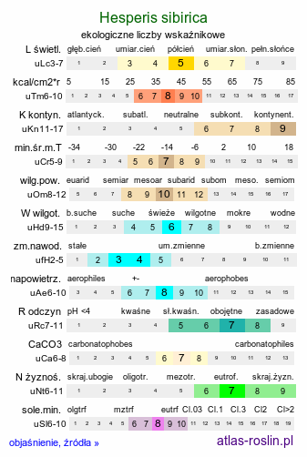 ekologiczne liczby wskaźnikowe Hesperis sibirica (wieczornik syberyjski)