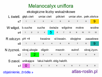 ekologiczne liczby wskaźnikowe Melanocalyx uniflora