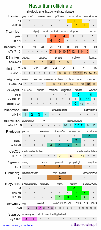 ekologiczne liczby wskaźnikowe Nasturtium officinale (rukiew wodna)