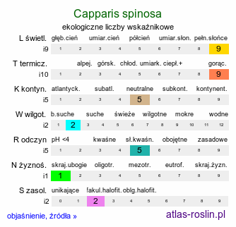 ekologiczne liczby wskaźnikowe Capparis spinosa (kapary cierniste)