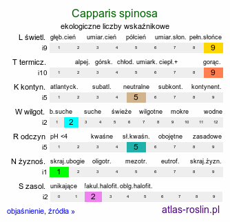 ekologiczne liczby wskaźnikowe Capparis spinosa (kapary cierniste)