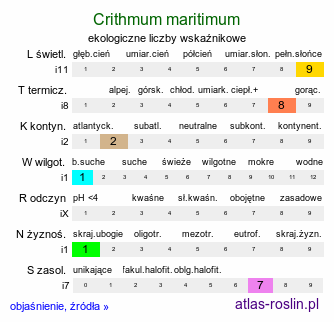 ekologiczne liczby wskaźnikowe Crithmum maritimum (kowniatek nadmorski)