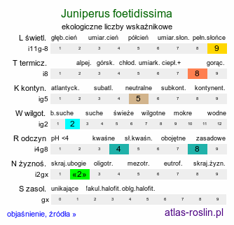 ekologiczne liczby wskaźnikowe Juniperus foetidissima