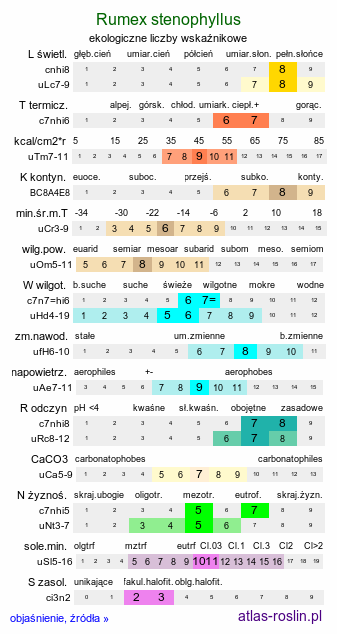 ekologiczne liczby wskaźnikowe Rumex stenophyllus (szczaw wąskolistny)