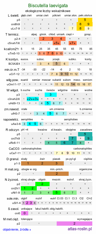 ekologiczne liczby wskaźnikowe Biscutella laevigata (pleszczotka górska)