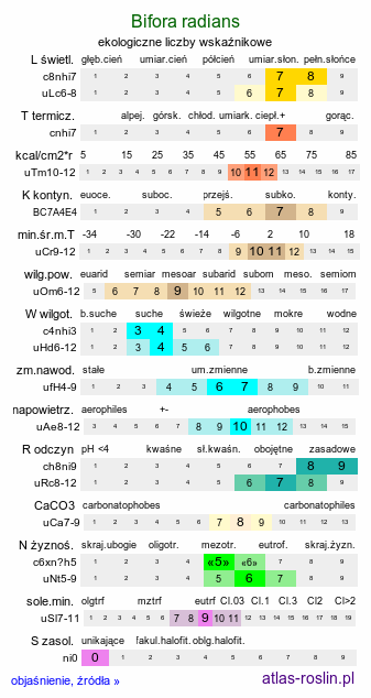 ekologiczne liczby wskaźnikowe Bifora radians (szparzyca promienista)
