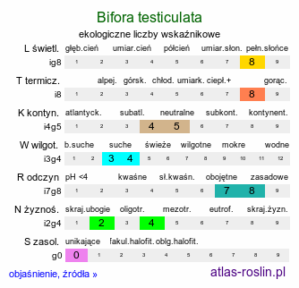 ekologiczne liczby wskaźnikowe Bifora testiculata (szparzyca bulwkowata)