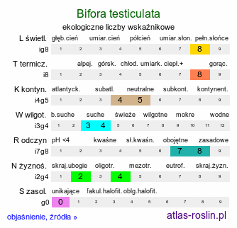 ekologiczne liczby wskaźnikowe Bifora testiculata (szparzyca bulwkowata)