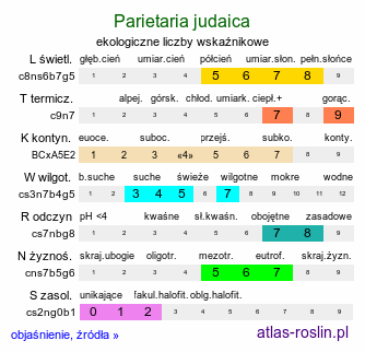 ekologiczne liczby wskaźnikowe Parietaria judaica