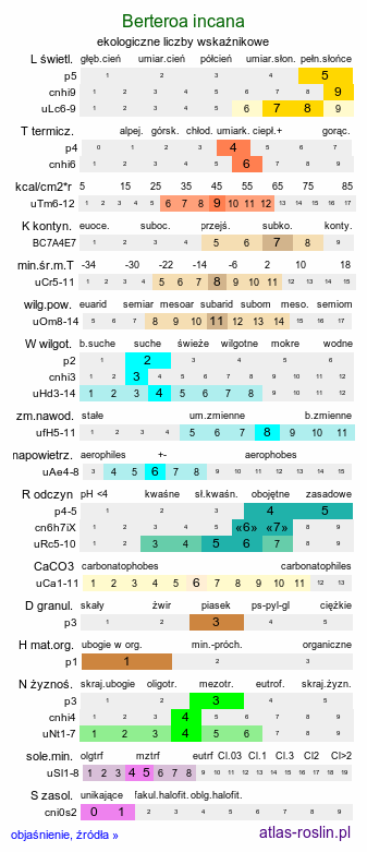 ekologiczne liczby wskaźnikowe Berteroa incana (pyleniec pospolity)