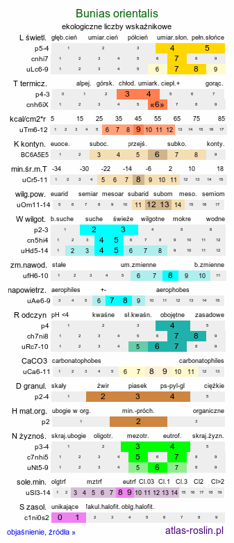 ekologiczne liczby wskaźnikowe Bunias orientalis (rukiewnik wschodni)