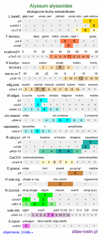 ekologiczne liczby wskaźnikowe Alyssum alyssoides (smagliczka kielichowata)