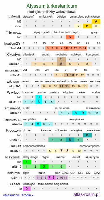 ekologiczne liczby wskaźnikowe Alyssum turkestanicum (smagliczka drobna)