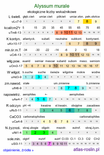 ekologiczne liczby wskaźnikowe Alyssum murale (smagliczka murowa)