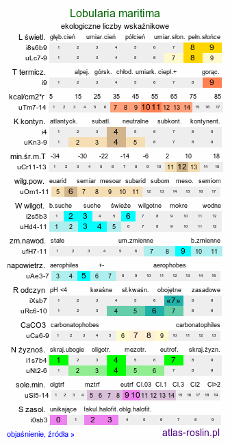 ekologiczne liczby wskaźnikowe Lobularia maritima (lobularia nadmorska)