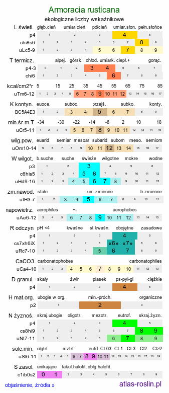 ekologiczne liczby wskaźnikowe Armoracia rusticana (chrzan pospolity)