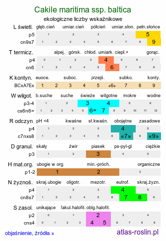 ekologiczne liczby wskaźnikowe Cakile maritima ssp. baltica (rukwiel nadmorska bałtycka)