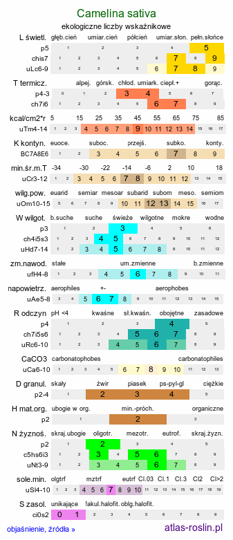 ekologiczne liczby wskaźnikowe Camelina sativa (lnicznik siewny)