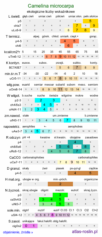 ekologiczne liczby wskaźnikowe Camelina microcarpa (lnicznik drobnoowocowy)