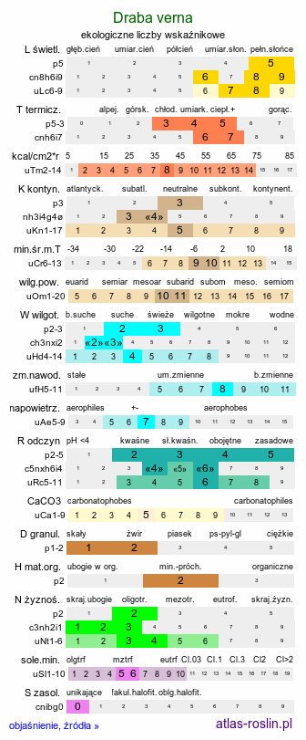 ekologiczne liczby wskaźnikowe Draba verna (wiosnówka pospolita)