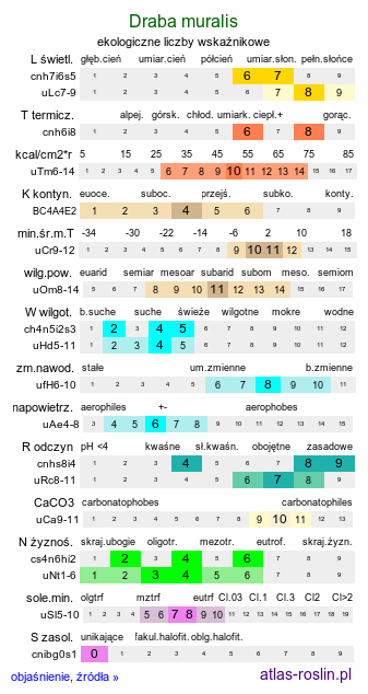 ekologiczne liczby wskaźnikowe Draba muralis (głodek murowy)