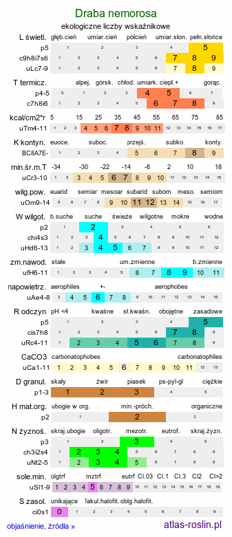 ekologiczne liczby wskaźnikowe Draba nemorosa (głodek żółty)