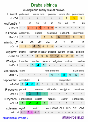 ekologiczne liczby wskaźnikowe Draba sibirica (głodek syberyjski)