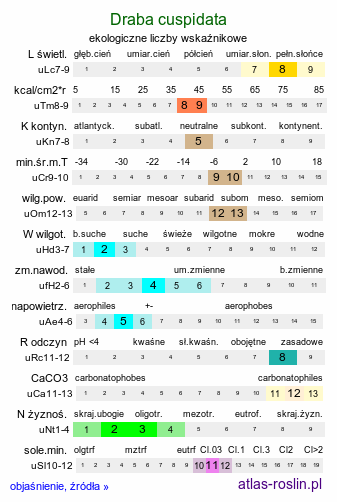 ekologiczne liczby wskaźnikowe Draba cuspidata (głodek ostrokończysty)