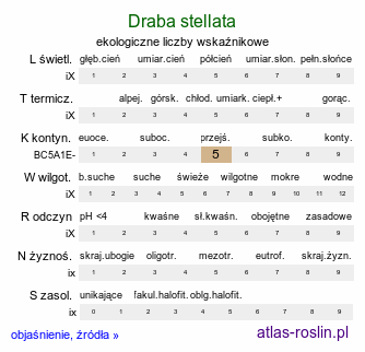 ekologiczne liczby wskaźnikowe Draba stellata