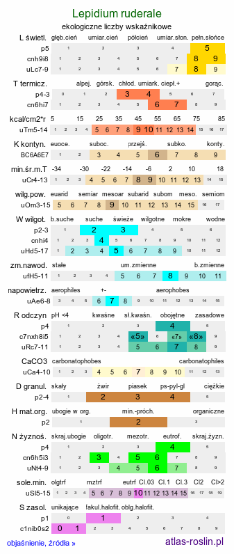 ekologiczne liczby wskaźnikowe Lepidium ruderale (pieprzyca gruzowa)