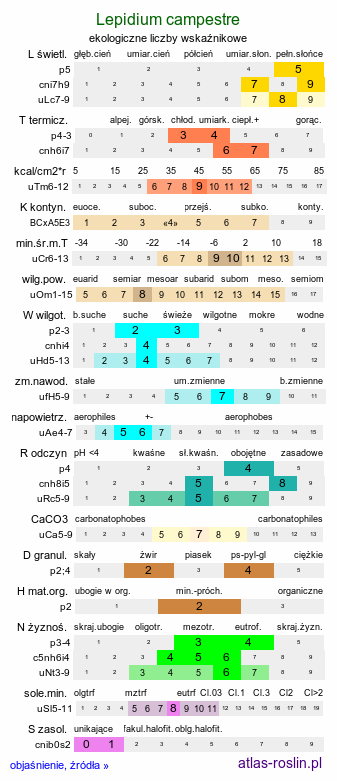 ekologiczne liczby wskaźnikowe Lepidium campestre (pieprzyca polna)