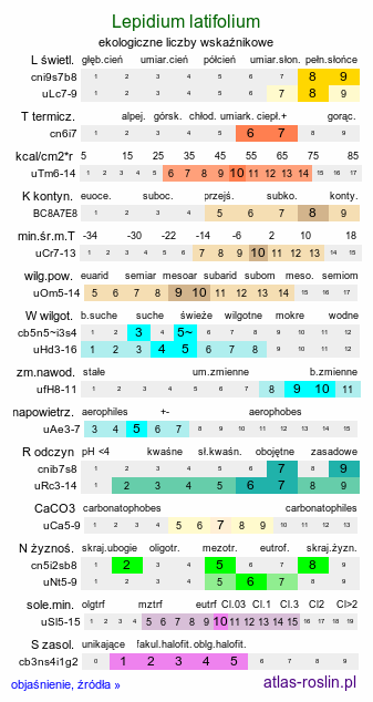 ekologiczne liczby wskaźnikowe Lepidium latifolium (pieprzyca szerokolistna)
