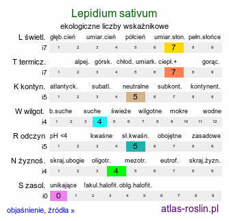 ekologiczne liczby wskaźnikowe Lepidium sativum (pieprzyca siewna)