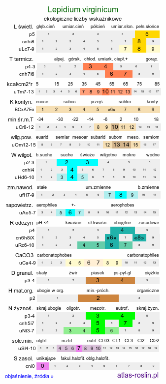 ekologiczne liczby wskaźnikowe Lepidium virginicum (pieprzyca wirgińska)