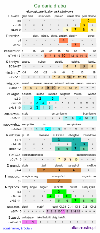 ekologiczne liczby wskaźnikowe Cardaria draba (pieprznik przydrożny)