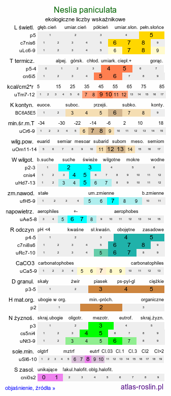 ekologiczne liczby wskaźnikowe Neslia paniculata (ożędka groniasta)