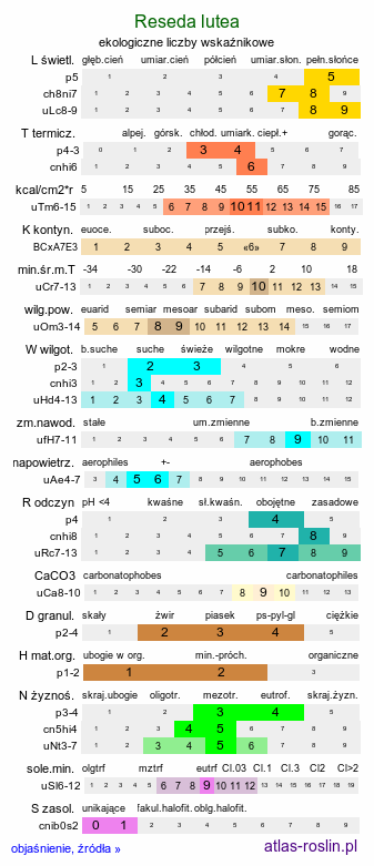 ekologiczne liczby wskaźnikowe Reseda lutea (rezeda żółta)