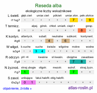 ekologiczne liczby wskaźnikowe Reseda alba (rezeda biała)