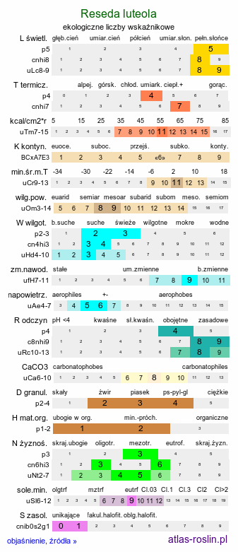 ekologiczne liczby wskaźnikowe Reseda luteola (rezeda żółtawa)