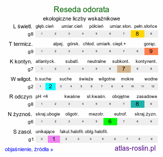 ekologiczne liczby wskaźnikowe Reseda odorata (rezeda wonna)