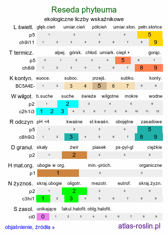 ekologiczne liczby wskaźnikowe Reseda phyteuma (rezeda mała)