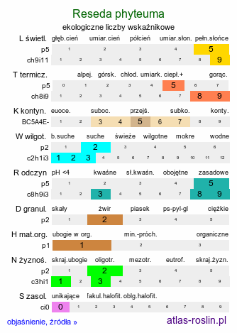 ekologiczne liczby wskaźnikowe Reseda phyteuma (rezeda mała)