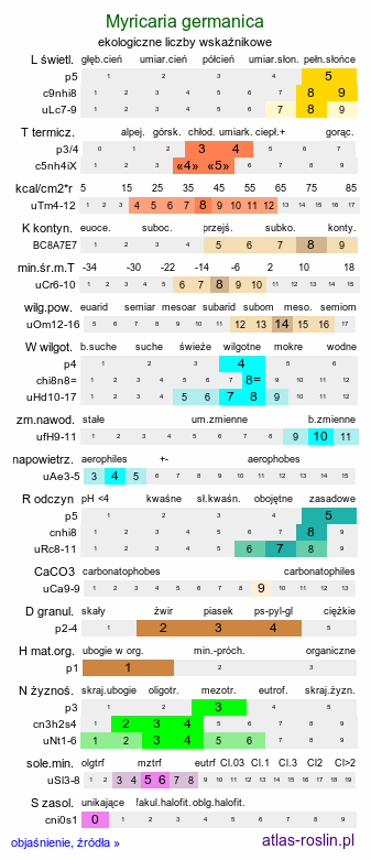 ekologiczne liczby wskaźnikowe Myricaria germanica (września pobrzeżna)