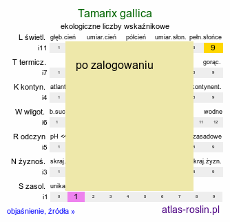 ekologiczne liczby wskaźnikowe Tamarix gallica (tamaryszek francuski)