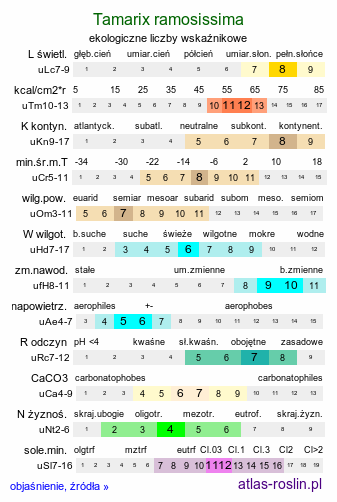 ekologiczne liczby wskaźnikowe Tamarix ramosissima (tamaryszek rozgałęziony)