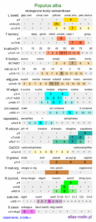 ekologiczne liczby wskaźnikowe Populus alba (topola biała)