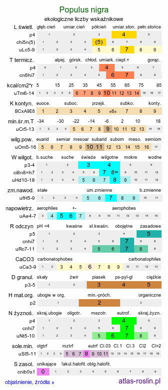 ekologiczne liczby wskaźnikowe Populus nigra (topola czarna)