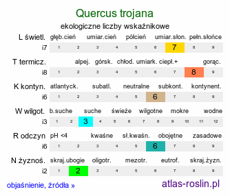 ekologiczne liczby wskaźnikowe Quercus trojana (dąb macedoński)